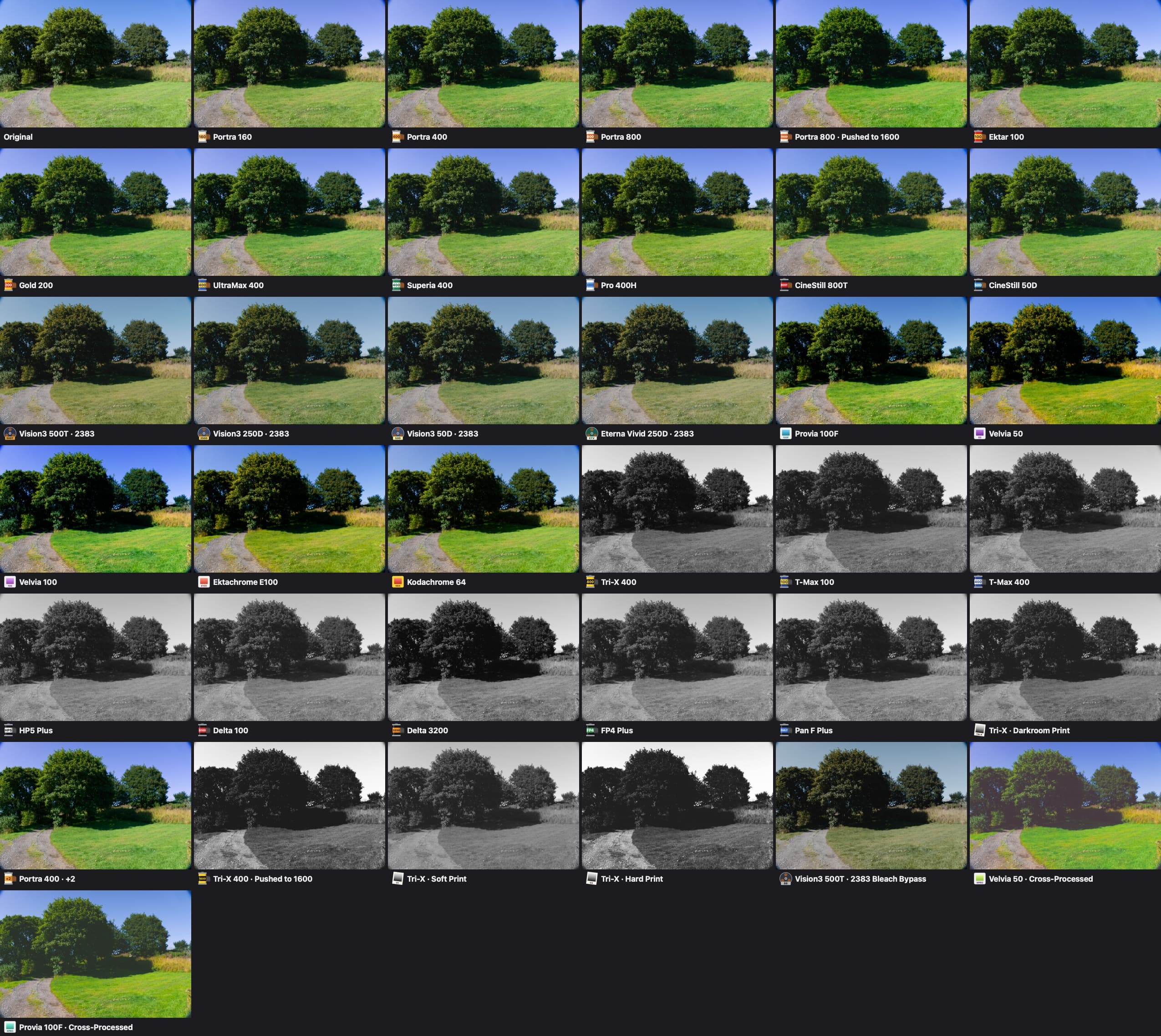 Every film look on the same photo, with the original first