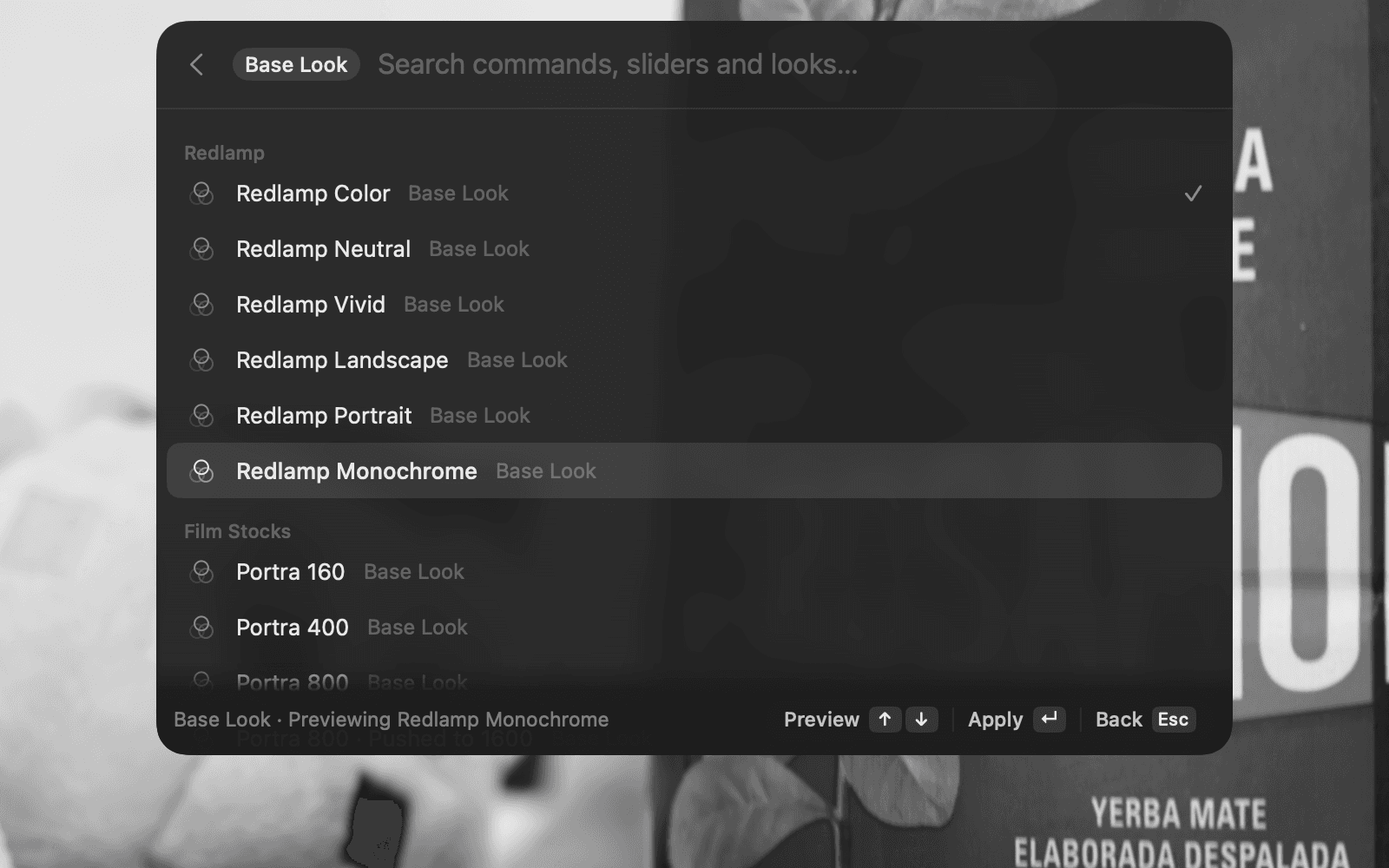 The Base Look picker with Redlamp Monochrome highlighted and previewing on the photo, which shows in black and white