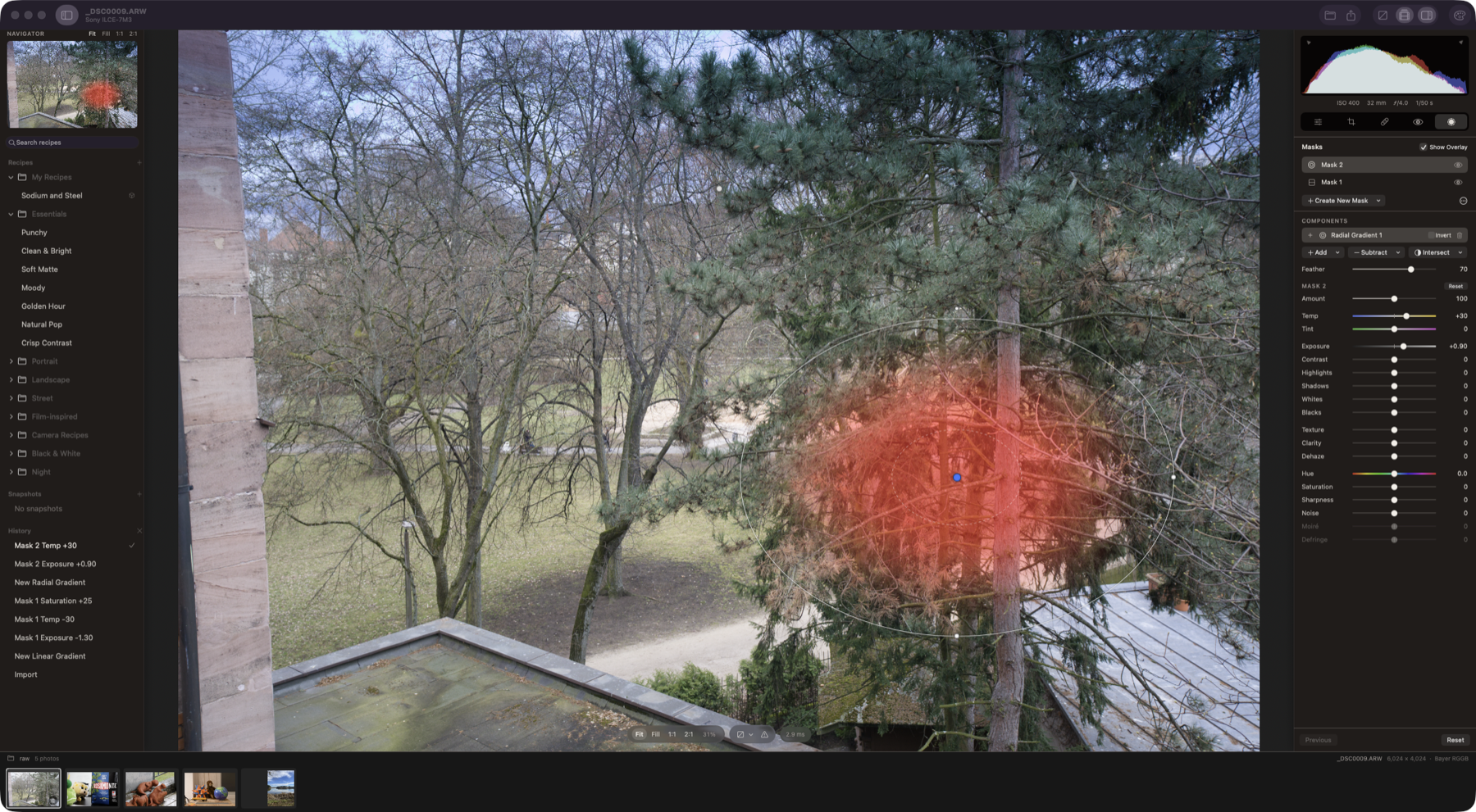Redlamp's Masks panel, with a radial gradient over a tree shown in red